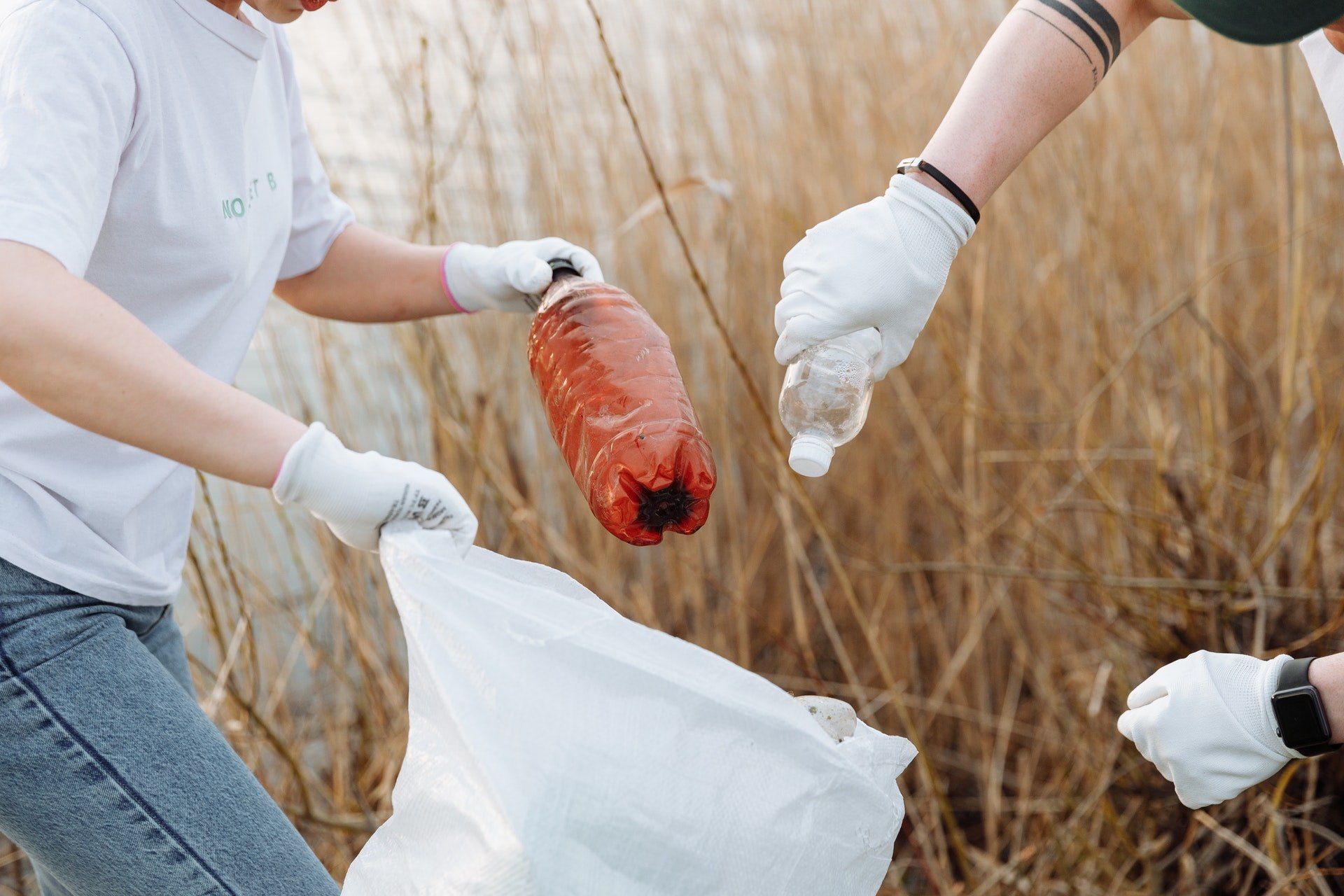 Tassa sulle bottigliette di plastica: adesso il futuro è dei distributori  automatici d'acqua